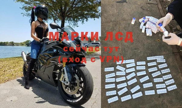 эйфоретик Баксан