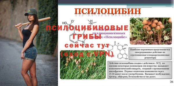 эйфоретик Баксан