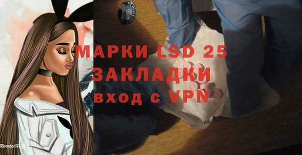 эйфоретик Баксан